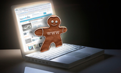 what are web cookies